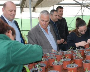 fundown plant proexport