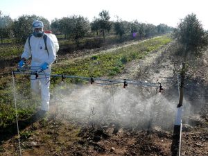 agrocolor ensayos