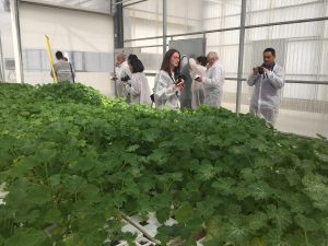 SEMILLAS FITO AMPLIACION INSTALACIONES ALMERIA