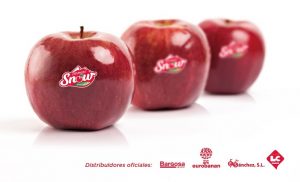 crimson snow manzana
