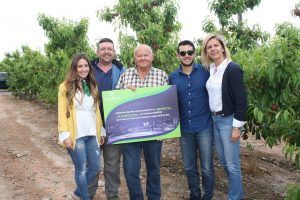 AG_Champions Asfertglobal