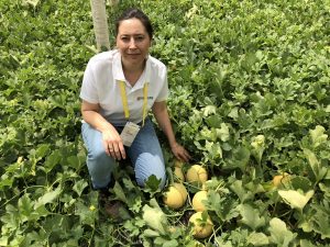 CLAUSE MELON TERRAL F1 GALIA BEATRIZ LUQUE TECNICO DESARROLLO