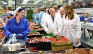 presidenta junta andalucia susana diaz visita vicasol