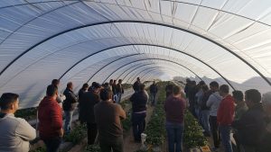 ferdoñana Curso de formación para agricultores impartido por Ferdoñana para optimizar el uso del agua