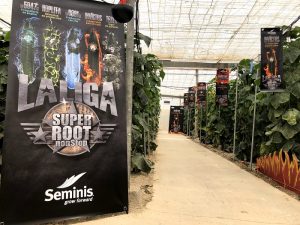 seminis pepino invictus jornada las norias