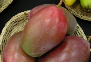 Mango_Osteen