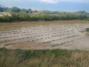 granizo anegamiento valencia campo