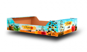 caja casi organic
