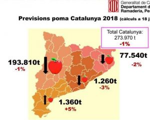 mapa manzana