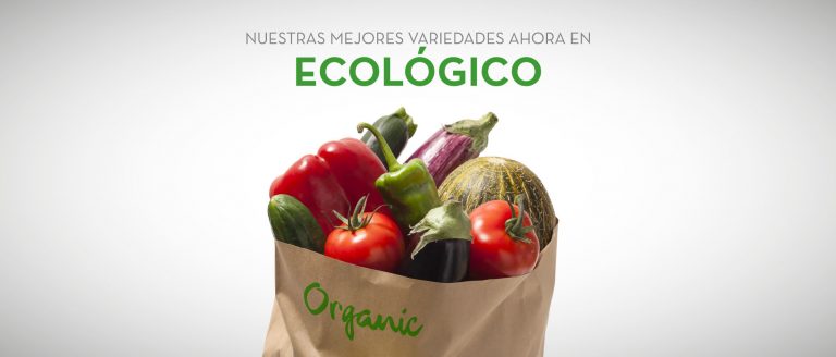 semillas eco fitó organic