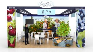 New Stand design sanlucar
