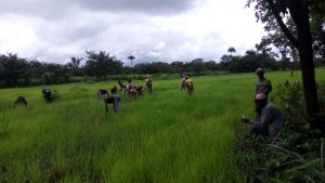 Trabajadores sierra leona - biorizon