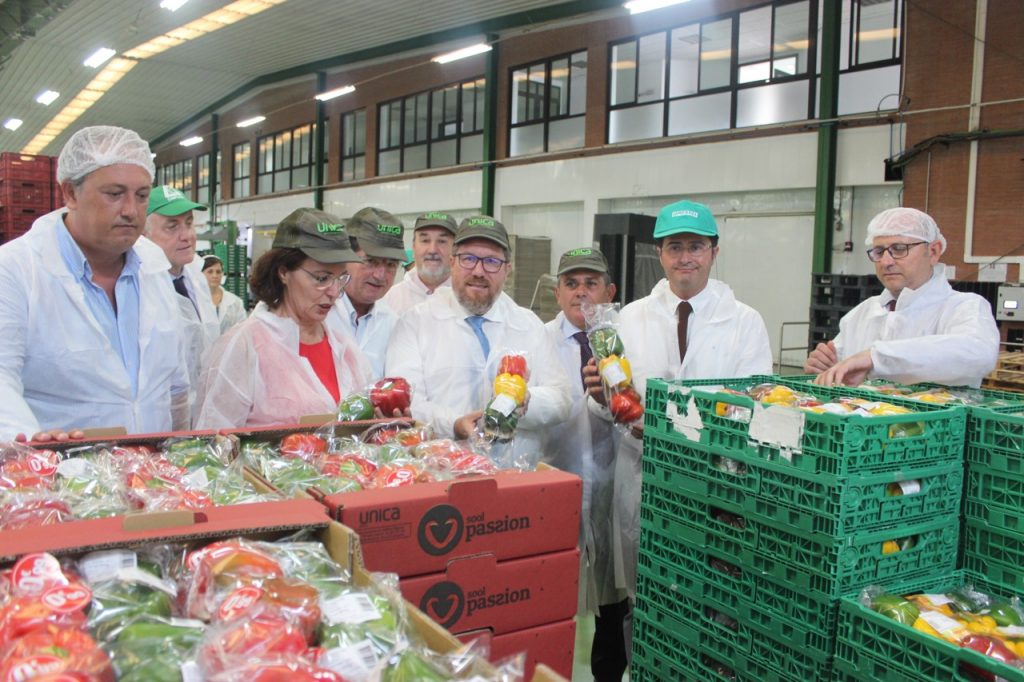 Camposol El Ejido