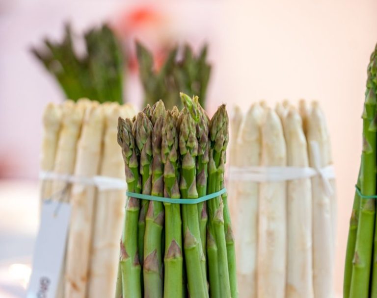 Asparagus DAYS Espárragos
