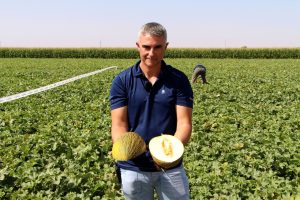 jornada piel de sapo syngenta la mancha