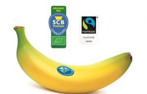 imagen banana bio SCB Compagnie Fruitière: