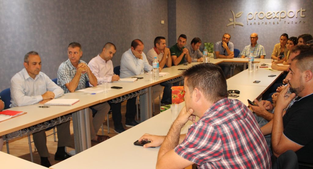 productores espinaca proexport