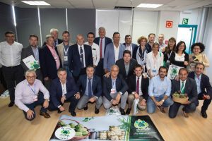 ALCACHOFA de españa con premio estrellas internet