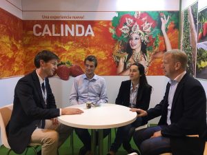 Calinda_FA2018 fresh forward