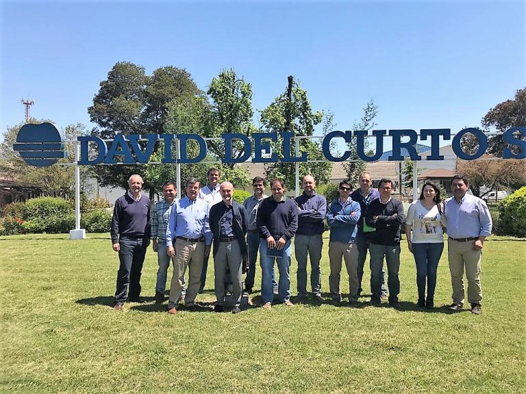 origine group sweeki david del curto