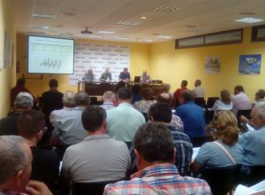 benihort-asamblea citricos