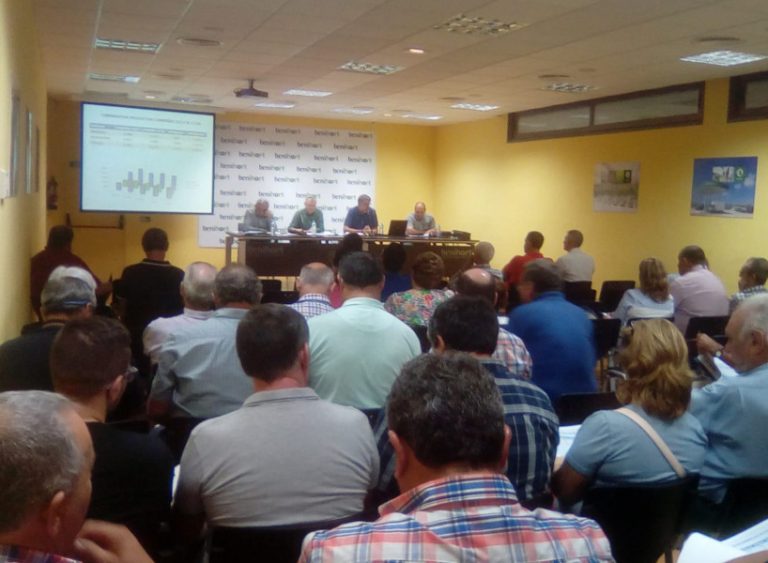 benihort-asamblea citricos