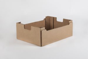 caja carton saeco
