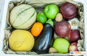 laser food vegetables