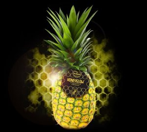 piña del monte