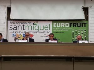 planas feria sant miquel