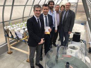 proyecto acuaponía en murcia