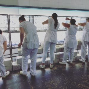 agrobio polinizacion control biologico fauna auxiliar