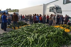RETIRADA PEPINO COAG PRECIOS