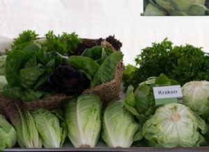 LEAFY HOUSE FAIR 2018 ENZA ZADEN