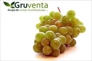 Uva de Mesa GRUVENTA