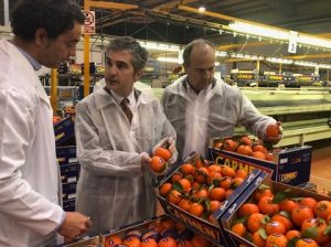 murcia Del Amor Mandarinas
