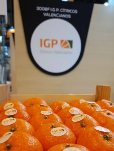 CITRICOS VALENCIANOS_Encajado clementinas IGP en stand