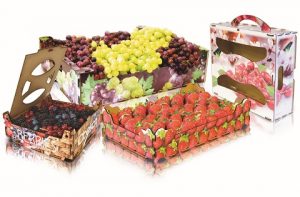 Gen Varios Fresa y maletines y berries uvas_B