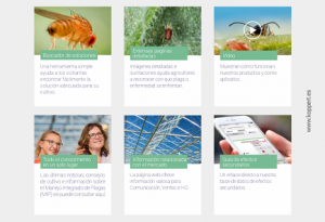 NUEVA WEB KOPPERT