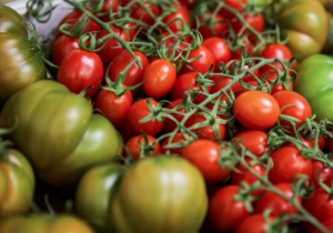 ORGANIC ROUTE fruit log tomates