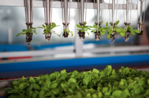 START-UP DAY FRUIT LOGISTICA 2019