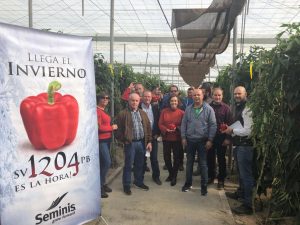 seminis pimiento california jornada 1204