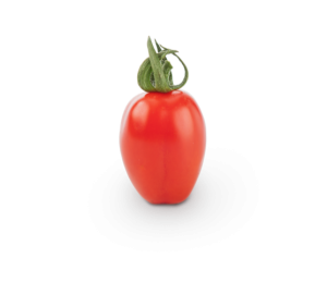 cherry ferdinand tomate semillas fito