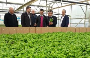 el dulze es una op visita consejero agricultura del amor