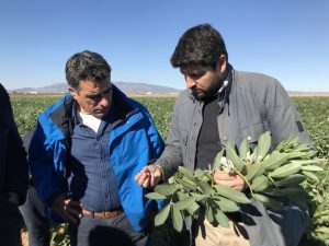presidente Murcia Fernando López Miras visita finca campo daños Heladas