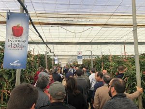 jornada pimieto 1204 seminis