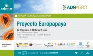 proyecto europapaya cajamar
