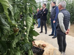 tomate iberiko cata con alcalde almería