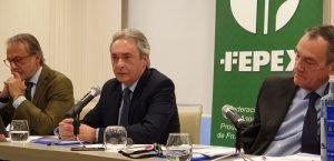 asamblea fepex renueva presidente brotons