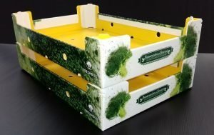 caja cipasi hinojosa